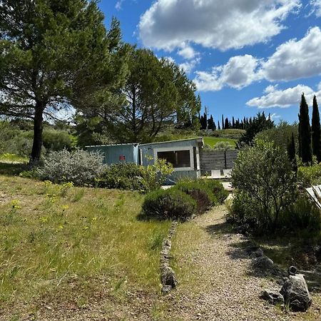 Chambre Tropicale Au Domaine De L'Aven Villeneuve-Minervois Екстер'єр фото